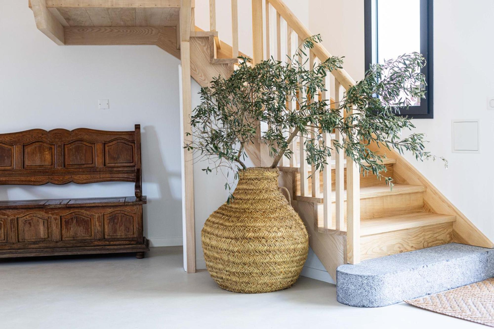 Biarritz Surf Lodge Chambre D'Hotes Екстериор снимка